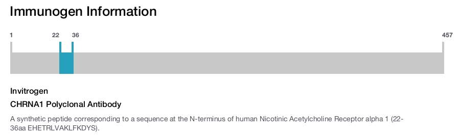 CHRNA1 Polyclonal Antibody