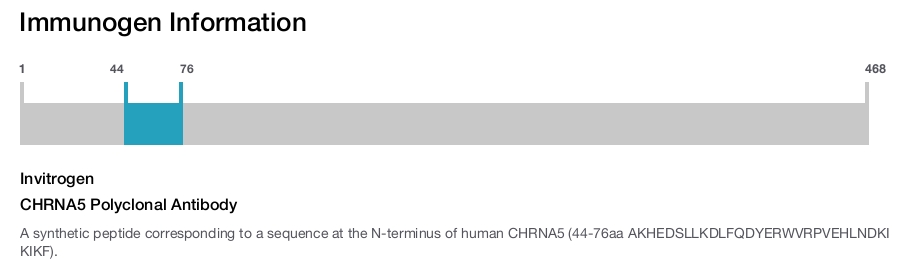 CHRNA5 Polyclonal Antibody