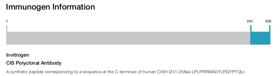 CIS Polyclonal Antibody