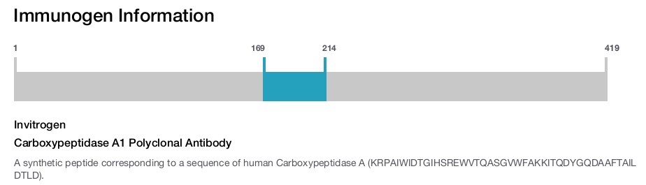 Carboxypeptidase A1 Polyclonal Antibody