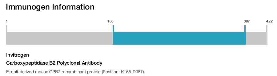 Carboxypeptidase B2 Polyclonal Antibody
