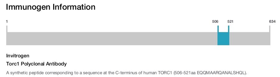 Torc1 Polyclonal Antibody