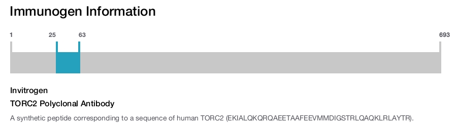TORC2 Polyclonal Antibody