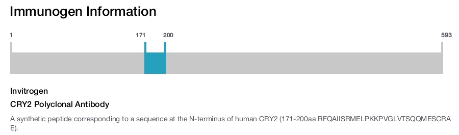 CRY2 Polyclonal Antibody