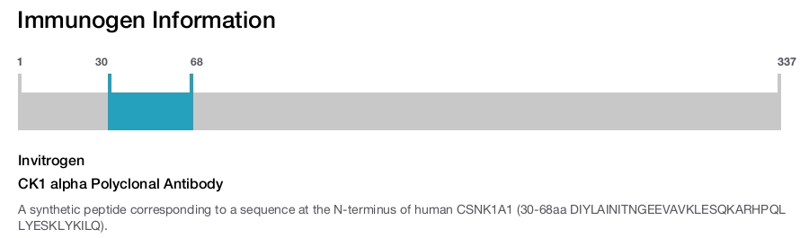 CK1 alpha Polyclonal Antibody