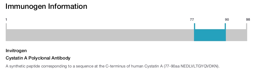 Cystatin A Polyclonal Antibody