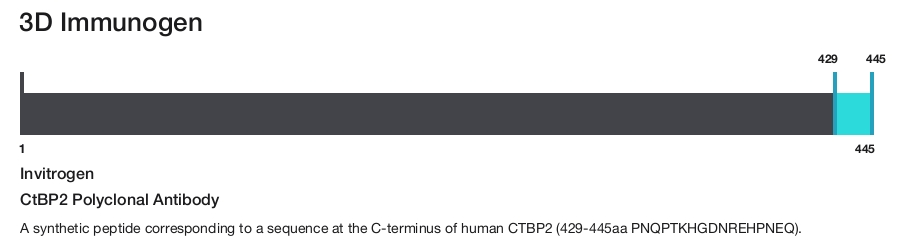 CtBP2 Polyclonal Antibody