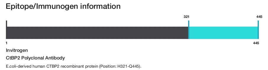 CtBP2 Polyclonal Antibody