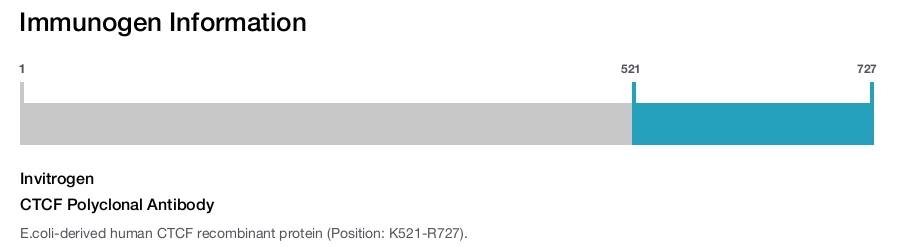 CTCF Polyclonal Antibody