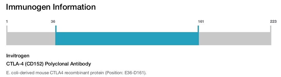 CTLA-4 (CD152) Polyclonal Antibody