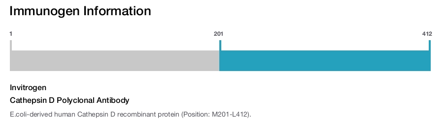 Cathepsin D Polyclonal Antibody