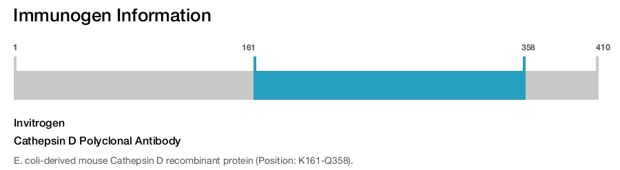 Cathepsin D Polyclonal Antibody