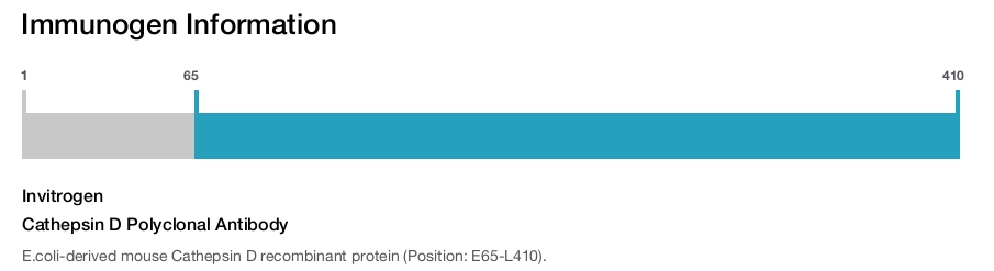Cathepsin D Polyclonal Antibody