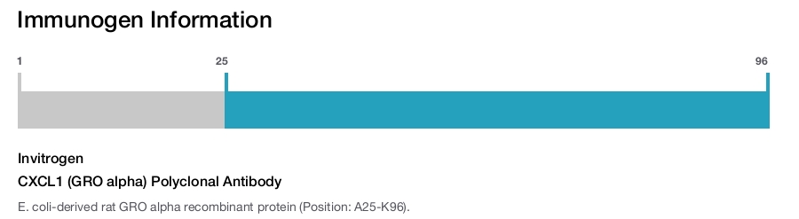 CXCL1 (GRO alpha) Polyclonal Antibody