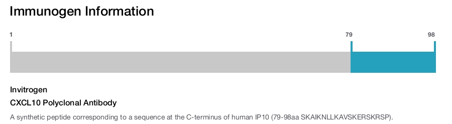 CXCL10 Polyclonal Antibody