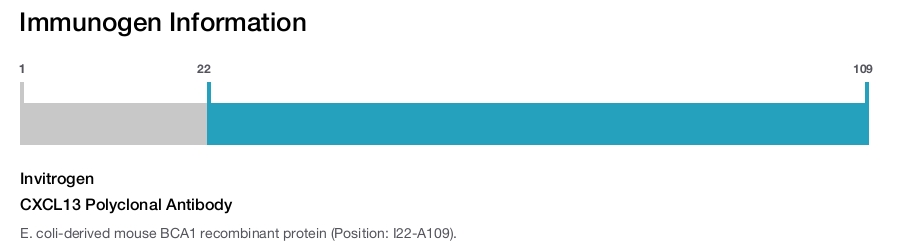 CXCL13 Polyclonal Antibody