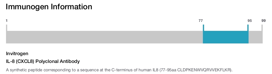 IL-8 (CXCL8) Polyclonal Antibody