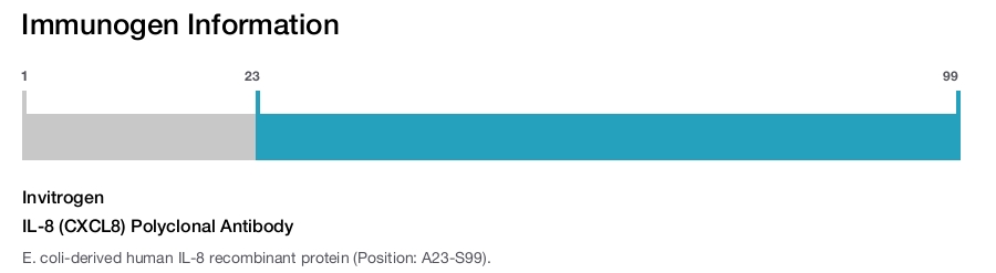 IL-8 (CXCL8) Polyclonal Antibody