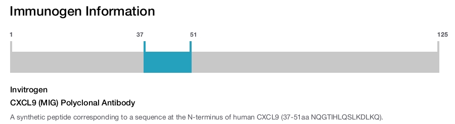 CXCL9 (MIG) Polyclonal Antibody