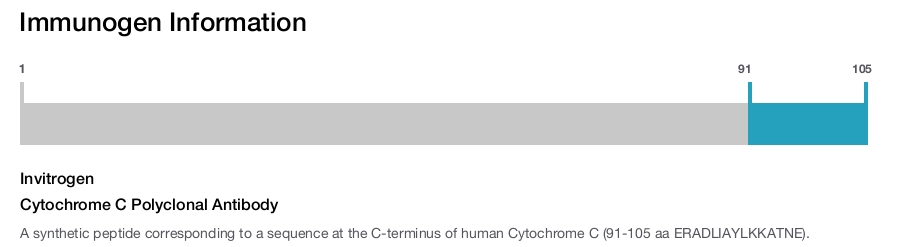 Cytochrome C Polyclonal Antibody