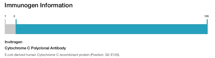 Cytochrome C Polyclonal Antibody