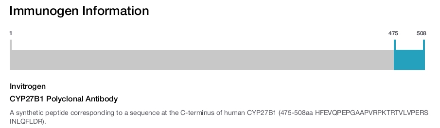 CYP27B1 Polyclonal Antibody