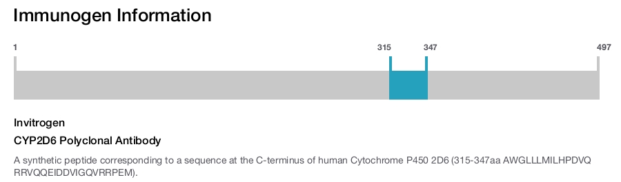 CYP2D6 Polyclonal Antibody