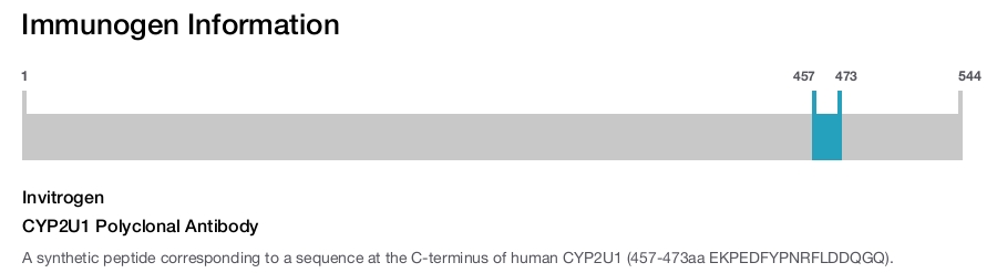 CYP2U1 Polyclonal Antibody
