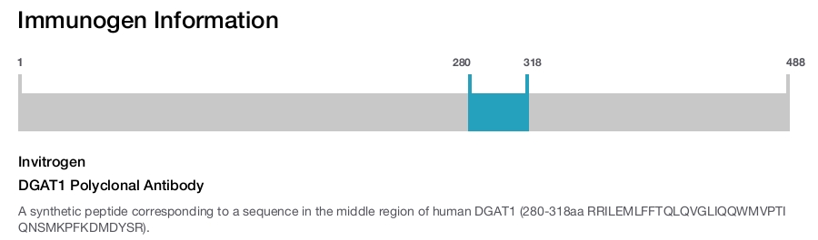 DGAT1 Polyclonal Antibody