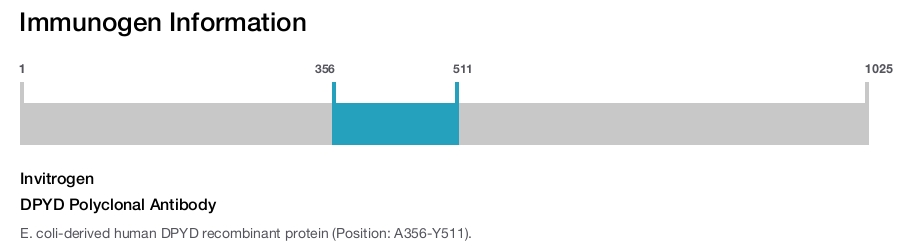 DPYD Polyclonal Antibody