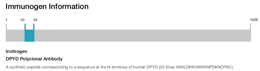 DPYD Polyclonal Antibody