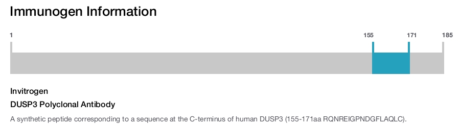 DUSP3 Polyclonal Antibody