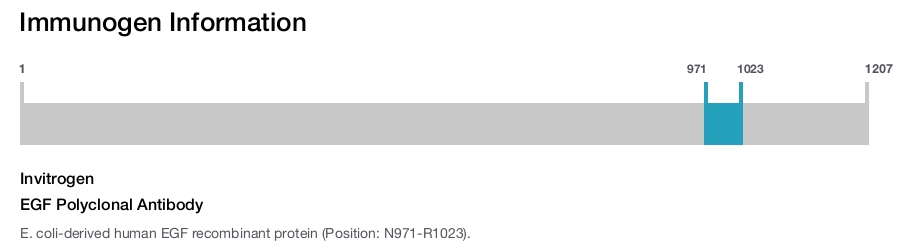 EGF Polyclonal Antibody