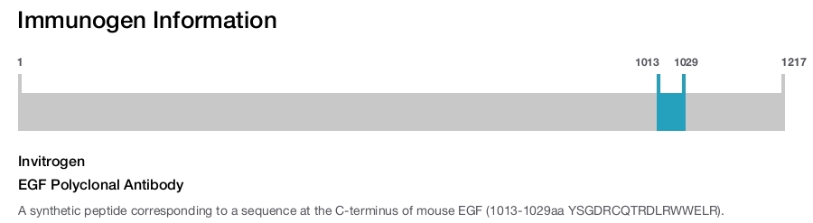 EGF Polyclonal Antibody