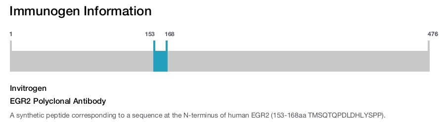 EGR2 Polyclonal Antibody