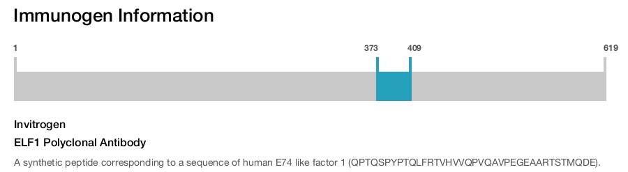 ELF1 Polyclonal Antibody