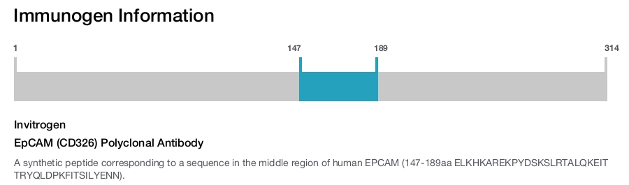 EpCAM (CD326) Polyclonal Antibody