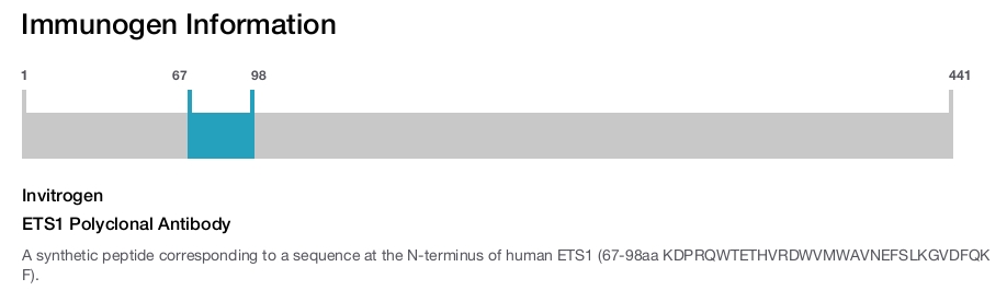 ETS1 Polyclonal Antibody