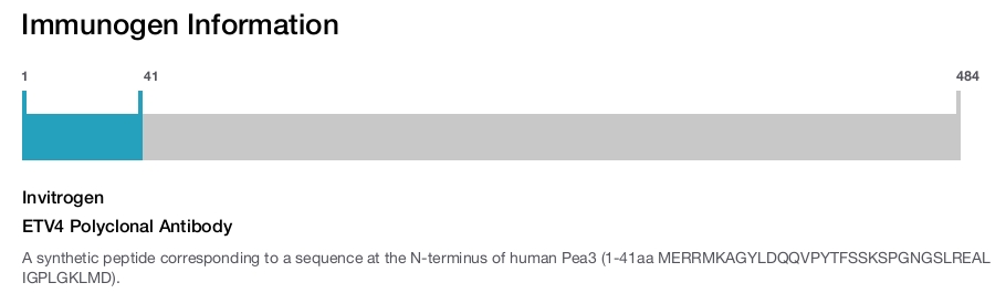 ETV4 Polyclonal Antibody