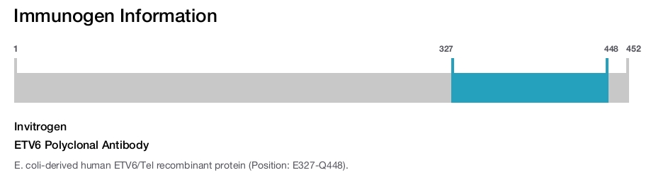 ETV6 Polyclonal Antibody