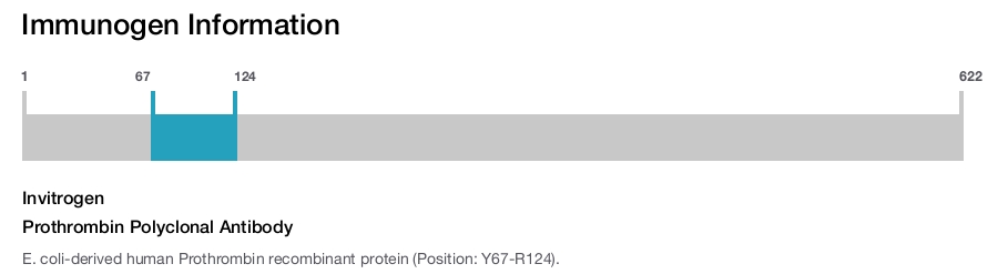 Prothrombin Polyclonal Antibody