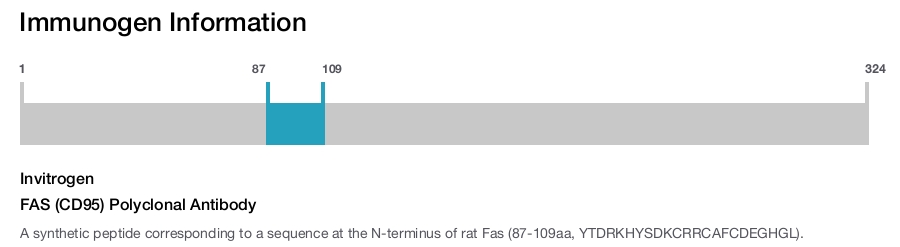 FAS (CD95) Polyclonal Antibody
