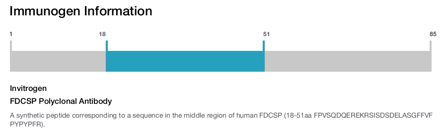 FDCSP Polyclonal Antibody