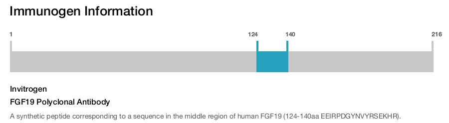 FGF19 Polyclonal Antibody