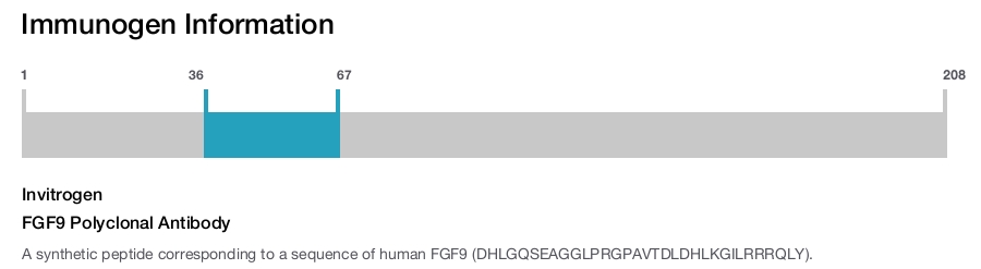 FGF9 Polyclonal Antibody