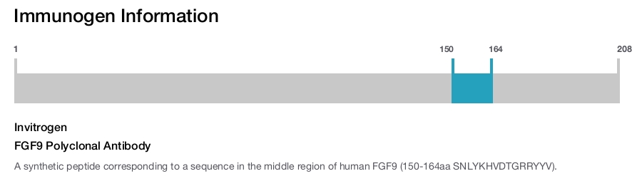 FGF9 Polyclonal Antibody