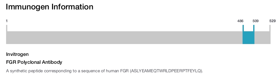 FGR Polyclonal Antibody