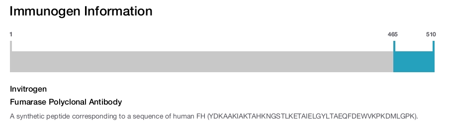 Fumarase Polyclonal Antibody