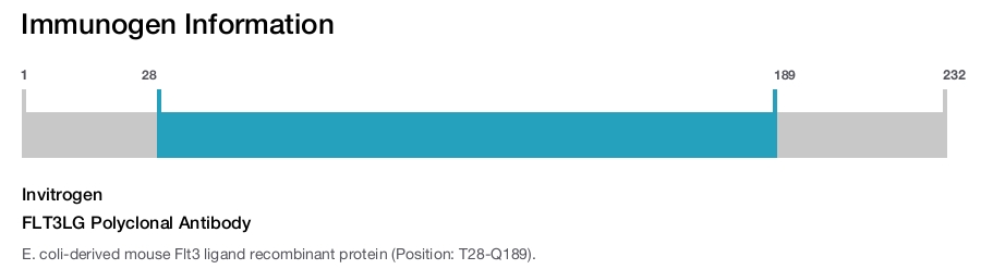 FLT3LG Polyclonal Antibody