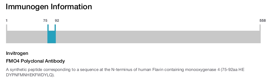 FMO4 Polyclonal Antibody